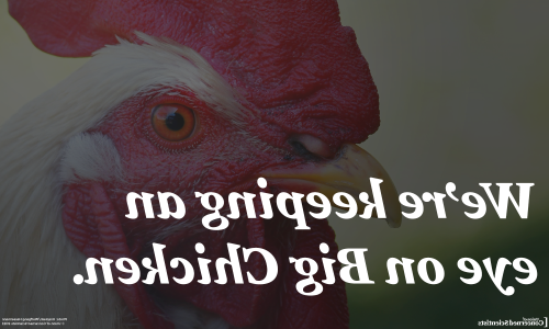 close-up image of a chicken's head in the background, overprinted with the words "We're keeping an eye on Big Chicken"